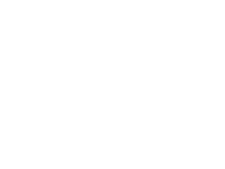 Automotive Icon